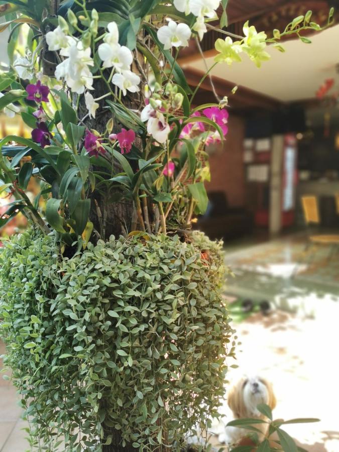 Tavee Guesthouse 曼谷 外观 照片